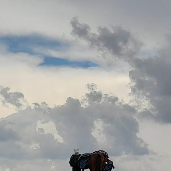 20230322_132423 (1)-min