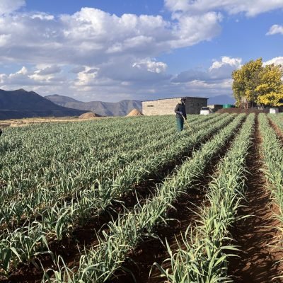 Image_20250818_170834_083