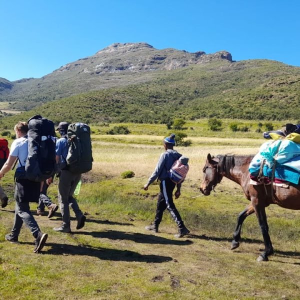 whatsapp-image-2023-01-24-at-7-25-10-pm_orig