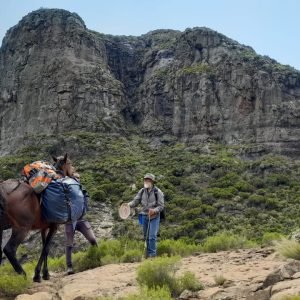 whatsapp-image-2023-03-20-at-12-10-26_orig